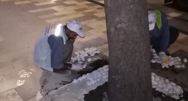Ağaç dipleri dolamit taşla süsleniyor