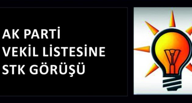 AK PARTİ VEKİL LİSTESİNE STK GÖRÜŞÜ