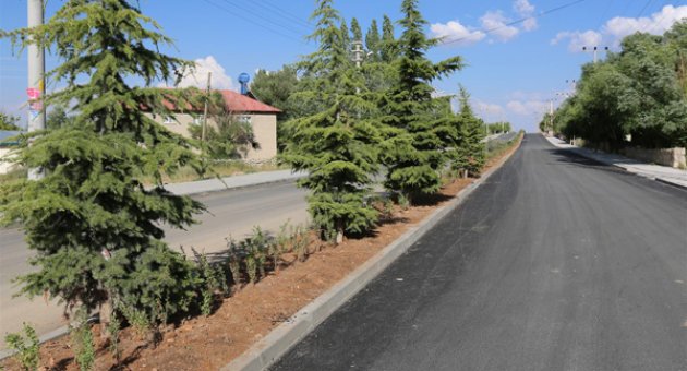 ALTUNELMA MAHALLESİNDE