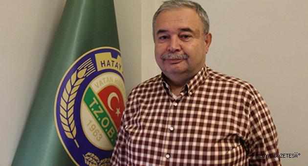 Amik Ovası'nda turfanda soğan hasadı başladı