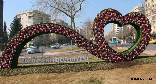 ANIT ÇİÇEKLER GÖZ KAMAŞTIRIYOR
