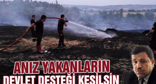 ANIZ YAKANLARIN DEVLET DESTEĞİ KESİLSİN