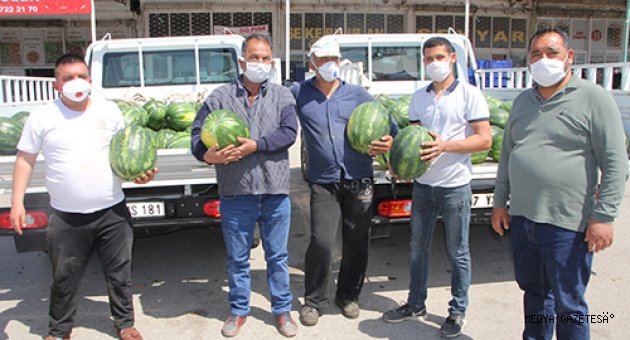 Antalya'da mevsimin ilk karpuzu Serik halinde