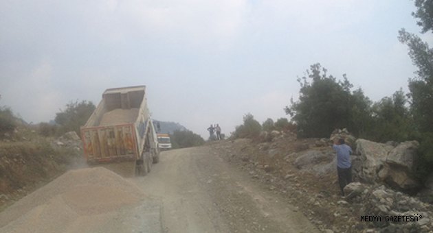 ARIKLAR YOLU’NDA FİLLER ÇEKİMİ