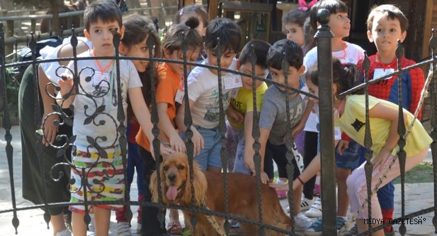 Arslanbey Doğal Yaşam Parkı’na Yoğun İlgi
