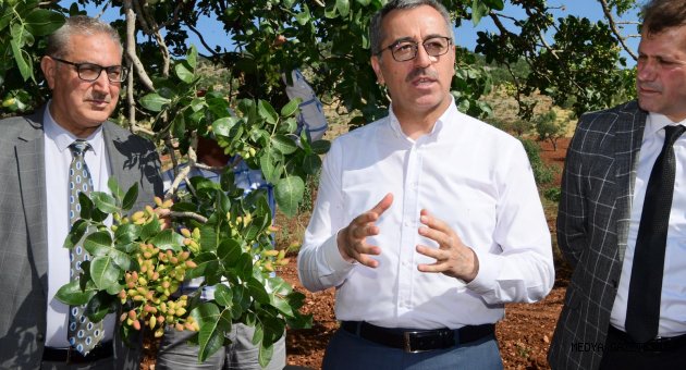 Başkan Güngör: “Baklavanın fıstığı Pazarcık’tan”