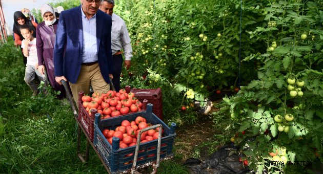 Başkan Güngör: “Kahramanmaraş’ımız tarımın da başkentidir”