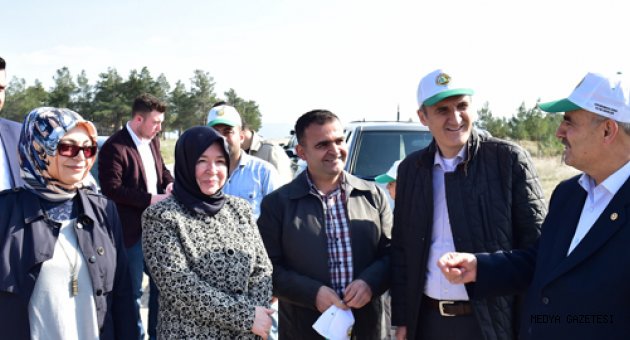 BAŞKAN OKAY'IN AĞAÇ SEVGİSİ