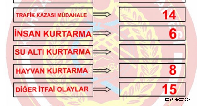 BAYRAM TATİLİNİN BİLANÇOSU:243 OLAY