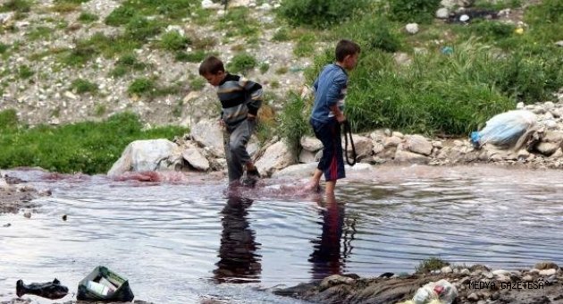 BU İŞE ARTIK DUR DİYECEK YOK MU?