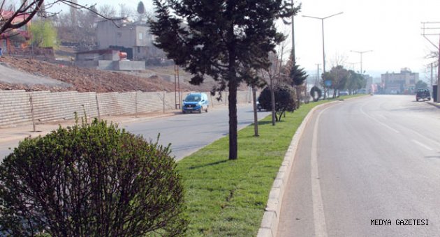 BÜYÜKŞEHİR ANA ARTERLERİ ÇİMLENDİRİYOR
