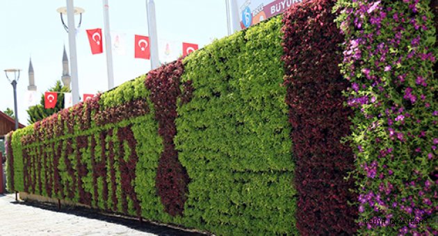BÜYÜKŞEHİR BAHÇELERİ DUVARA YANSITIYOR