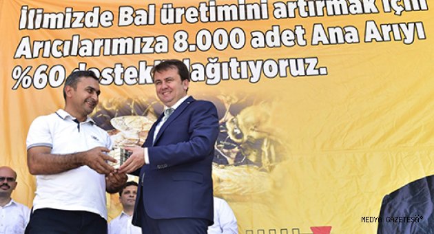 BÜYÜKŞEHİR’DEN ANA ARI DAĞITIMI