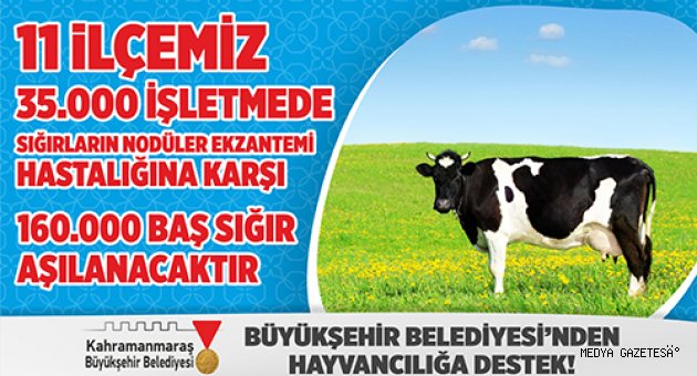 BÜYÜKŞEHİR’DEN HAYVANCILIĞA BÜYÜK DESTEK