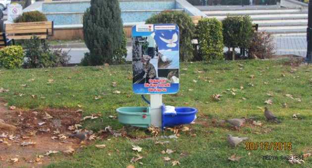 BÜYÜKŞEHİR’DEN KUŞLARA DA HİZMET