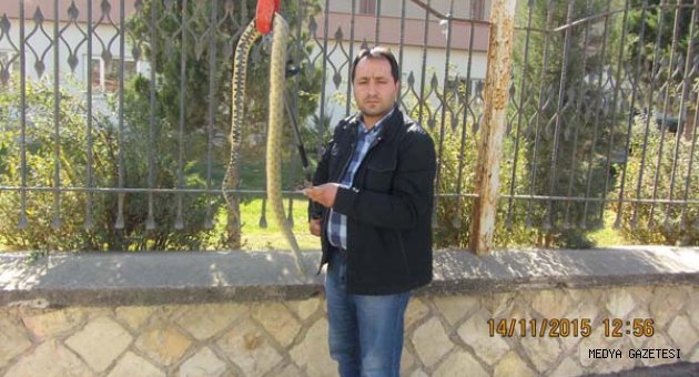 BÜYÜKŞEHİR’DEN SÜRÜNGENLERLE MÜCADELE