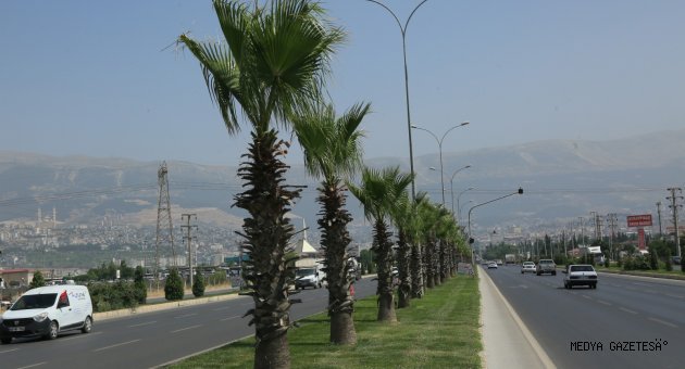 Büyükşehir’den yeşil alan bakım çalışmaları