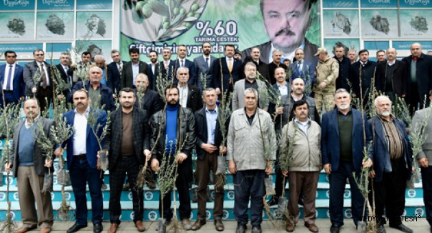 BÜYÜKŞEHİR’DEN ZEYTİN DALI HAREKÂTINA ZEYTİN FİDANIYLA DESTEK