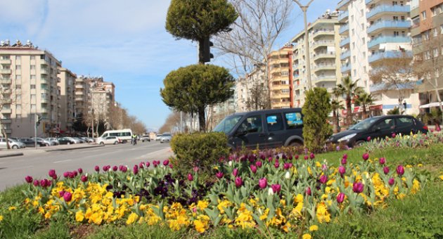 BÜYÜKŞEHİRDEN BAHARA SÜMBÜL VE LALELİ MERHABA…