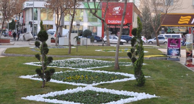 BÜYÜKŞEHİR'İN ÇİÇEK DİKİM ÇALIŞMALARI