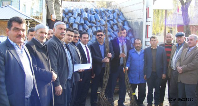 ÇAĞLAYANCERİT’TE ÇİFTÇİLERE CEVİZ FİDAN DAĞITIMI YAPILDI
