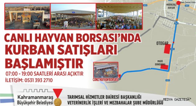 CANLI HAYVAN BORSASINDA KURBAN SATIŞLARI BAŞLADI