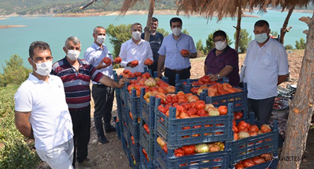 Dede yadigarı tohumlardan yetişen