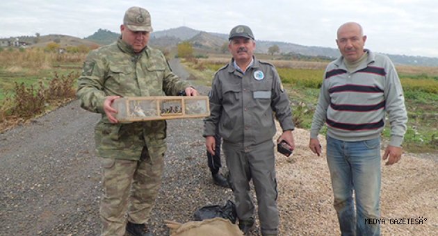 DÖRT SURİYE UYRUKLU; KAÇAK AVLANMA