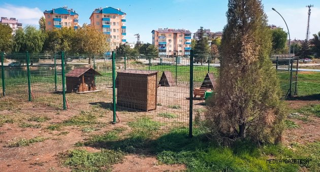 Elbistan Belediyesi, ‘kedi parkı’ projesini hayata geçirdi