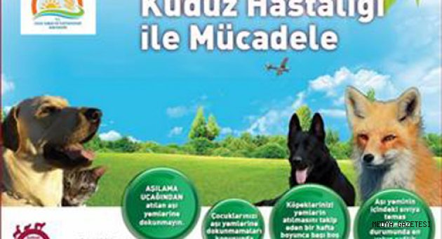 ELBİSTAN’DA KUDUZ MÜCADELESİNDE HAVADAN AŞILAMA PROJESİ