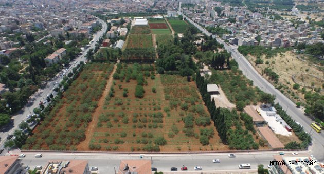 FISTIK PARKI’NDA ÇALIŞMALAR SÜRÜYOR