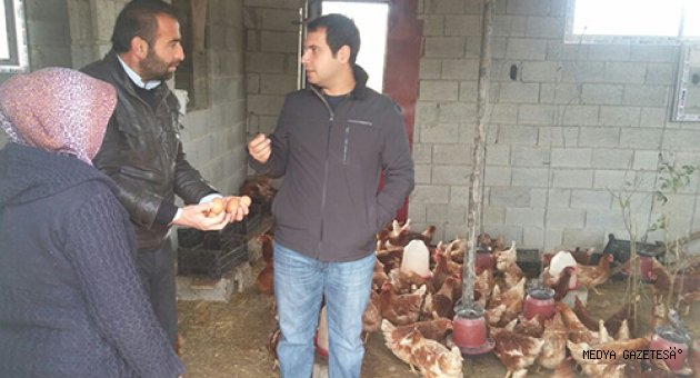 GENÇ ÇİFTÇİ PROJELERİ AMACINA ULAŞIYOR