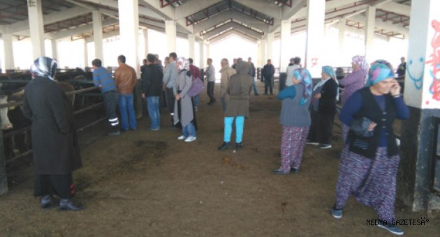 GENÇ ÇİFTÇİLER DESTEKLENİYOR…
