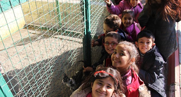 HAYVAN BARINAĞI’NIN MİNİK ZİYARETÇİLERİ