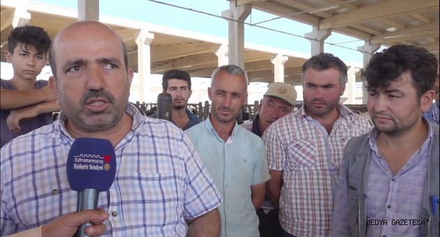 Hayvan Borsası Bölgeye Hitap Ediyor