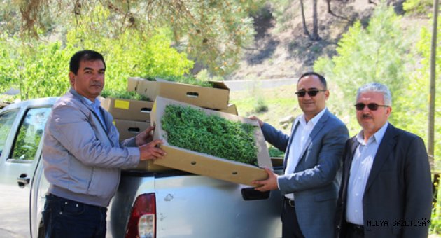 KADIN ÇİFTÇİLER TARIMSAL YENİLİKLERLE BULUŞUYOR.