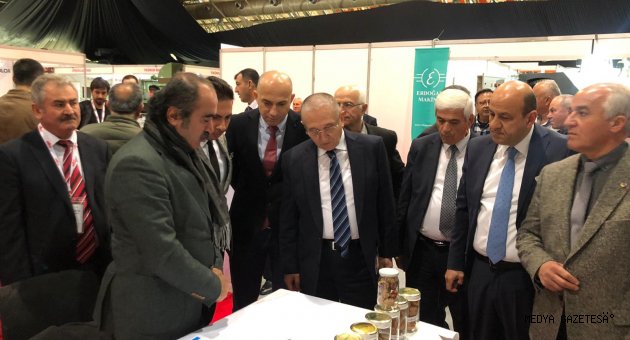 KAHRAMANMARAŞ ÇAĞLAYANCERİT CEVİZİ ANTALYA’DA TANITILDI