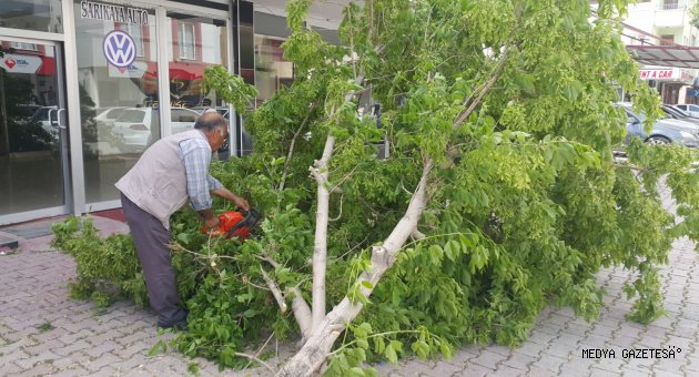 Kahramanmaraş’ta fırtına çatıları uçurup, ağaçları devirdi