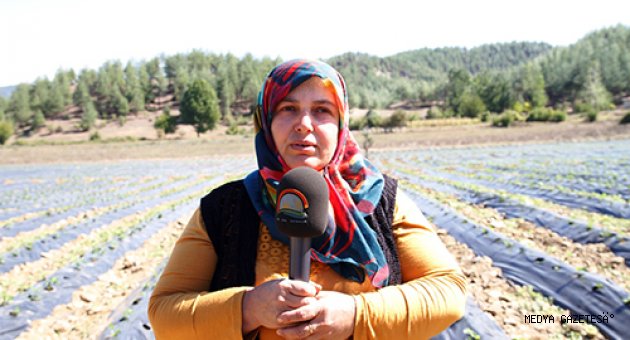 KAHRAMANMARAŞ’TA GENÇ ÇİFTÇİ PROJESİ İLE HAYALLER GERÇEK OLUYOR