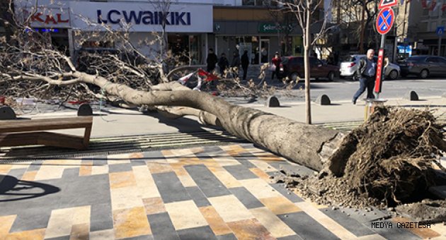 Kahramanmaraş ve Adıyaman'da şiddetli rüzgar etkili oluyor