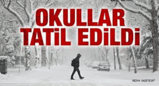 Kahramanmaraş'ın 5 ilçesinde soğuk hava ve buzlanma nedeniyle okullar tatil edildi