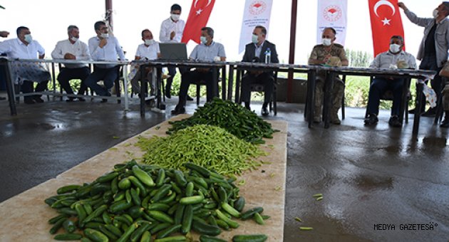 Kahramanmaraşlı çiftçiler ürünlerini DİTAP üzerinden satıyor