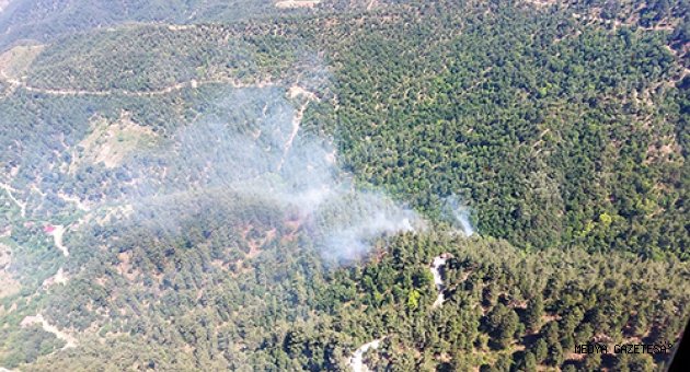 Kahramanmaraş'ta 2 hektarlık orman yangında zarar gördü