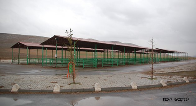 Kahramanmaraş'ta 4 ilçedeki hayvan pazarları tedbir amaçlı kapatıldı