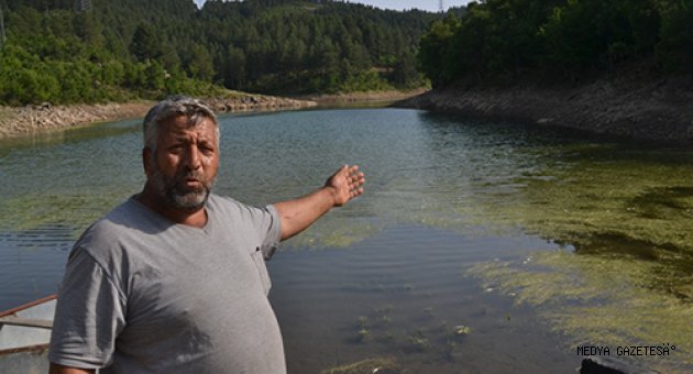 Kahramanmaraş'ta baraj göletindeki balık ölümlerine ilişkin inceleme başlatıldı
