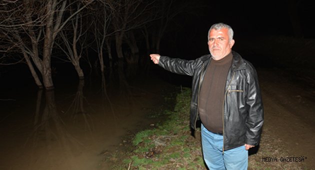 Kahramanmaraş'ta Ceyhan Nehri taştı, tarım alanları su altında kaldı