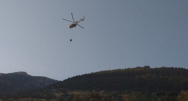 Kahramanmaraş'ta çıkan yangında 2 hektar ormanlık alan zarar gördü
