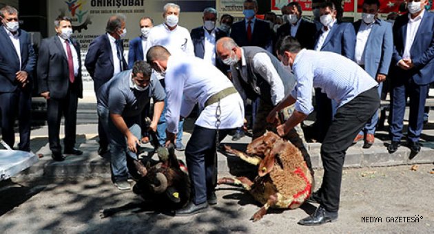 Kahramanmaraş'ta