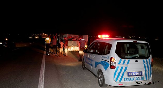 Kahramanmaraş'ta otomobilin çaptığı hayvanlar telef oldu