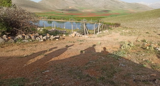 Kahramanmaraş'ta serinlemek için gölete giren çocuk boğuldu